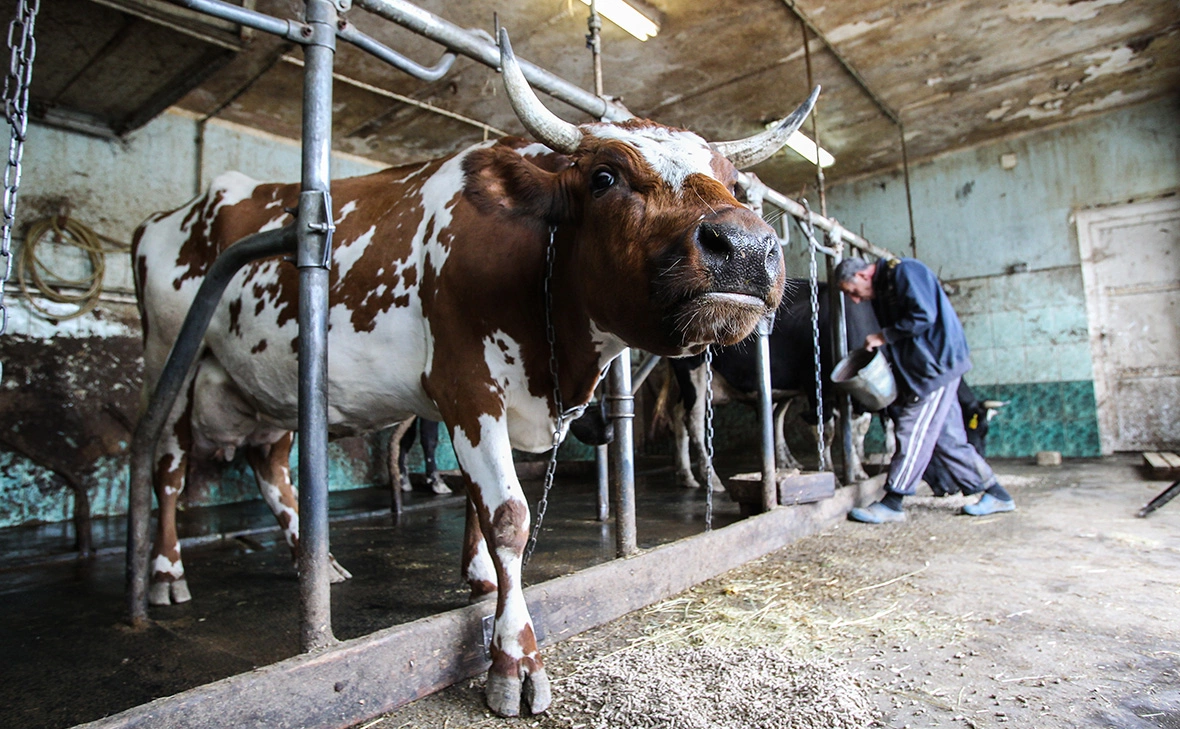 Екатерина Кузьмина / РБК