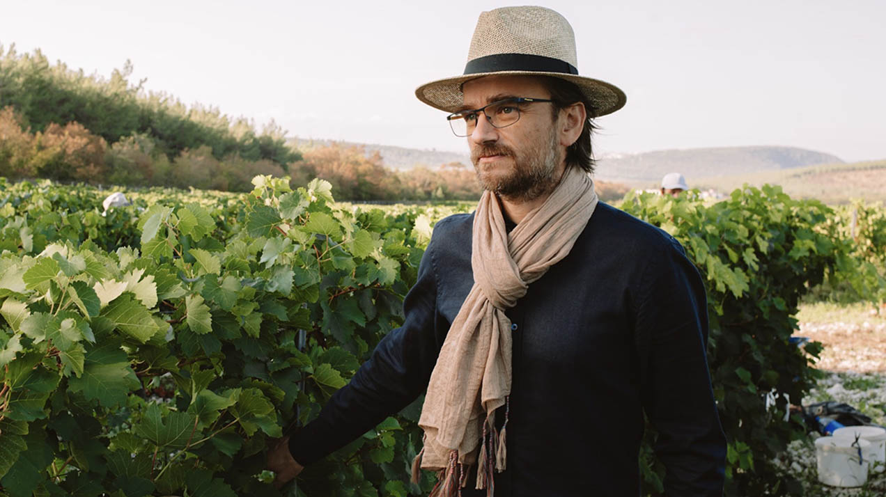 Франк Дюсенер — о вине как традиции и радости воссоединения с семьей