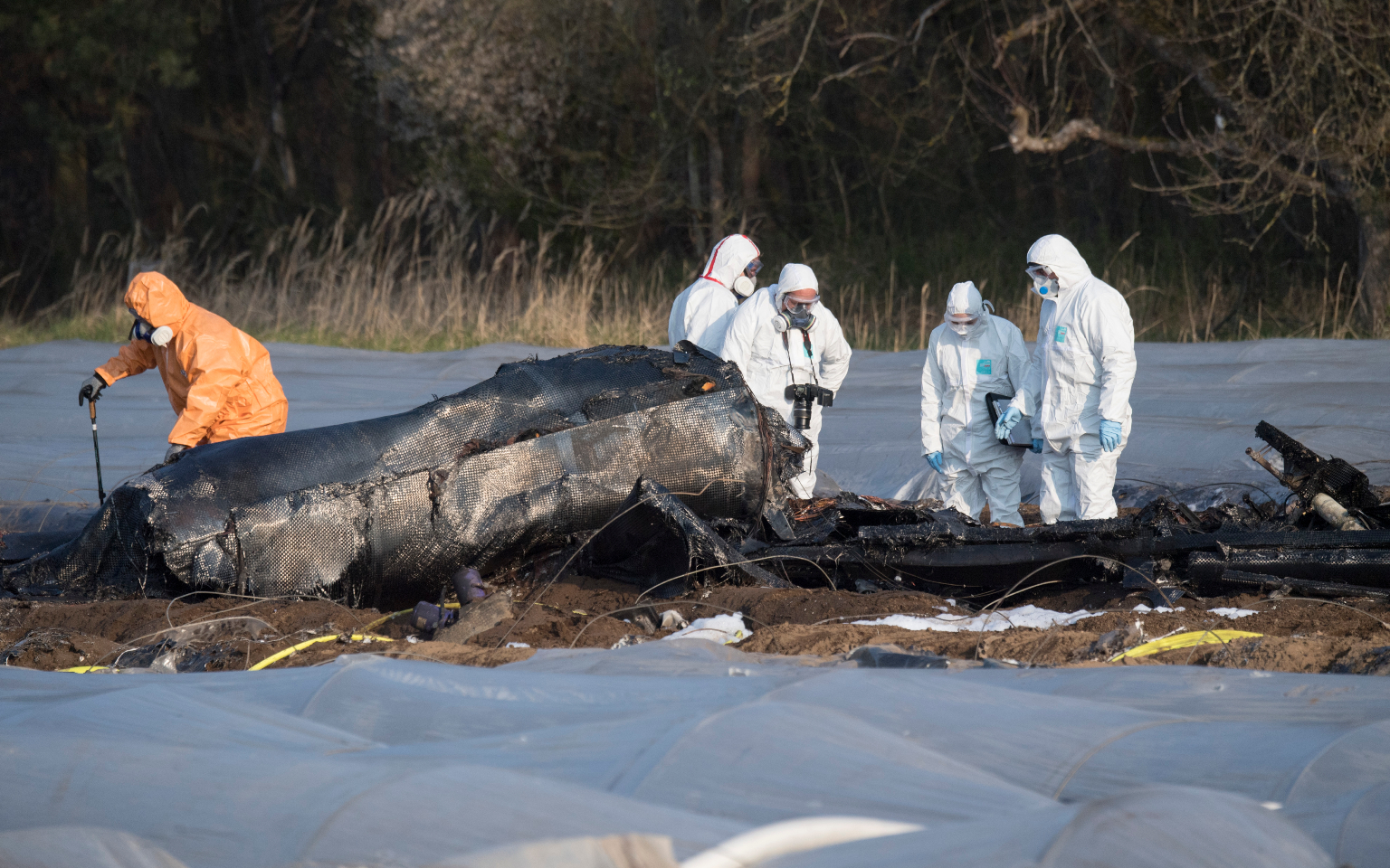 Германия опубликовала показания свидетелей катастрофы самолета с Филевой