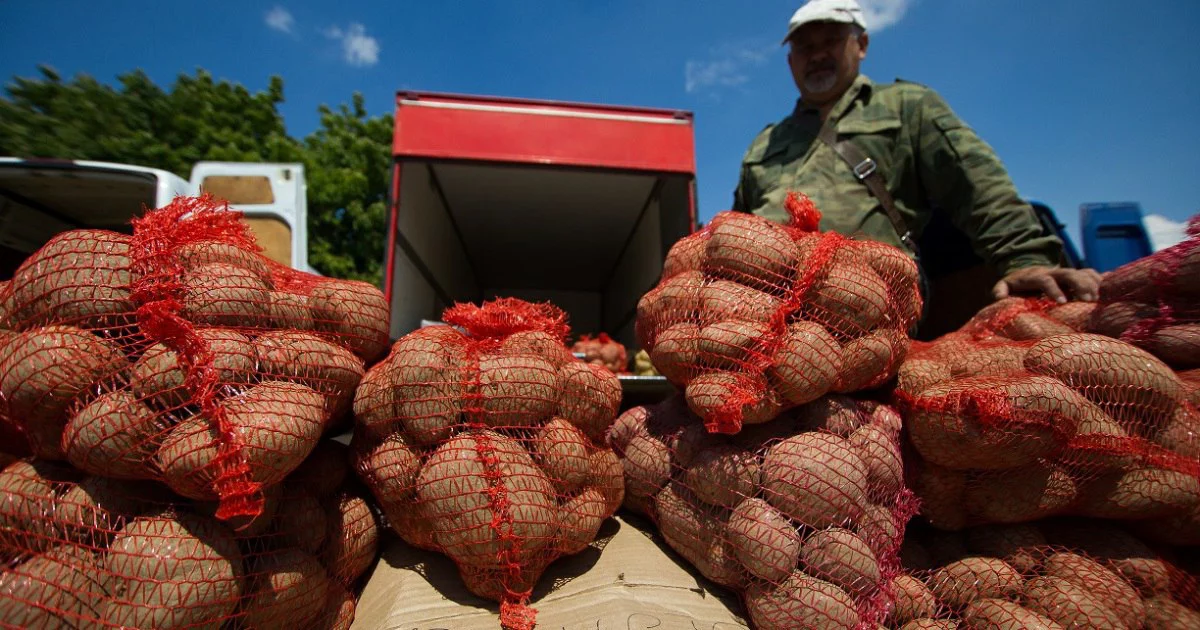 Александр Подгорчук
