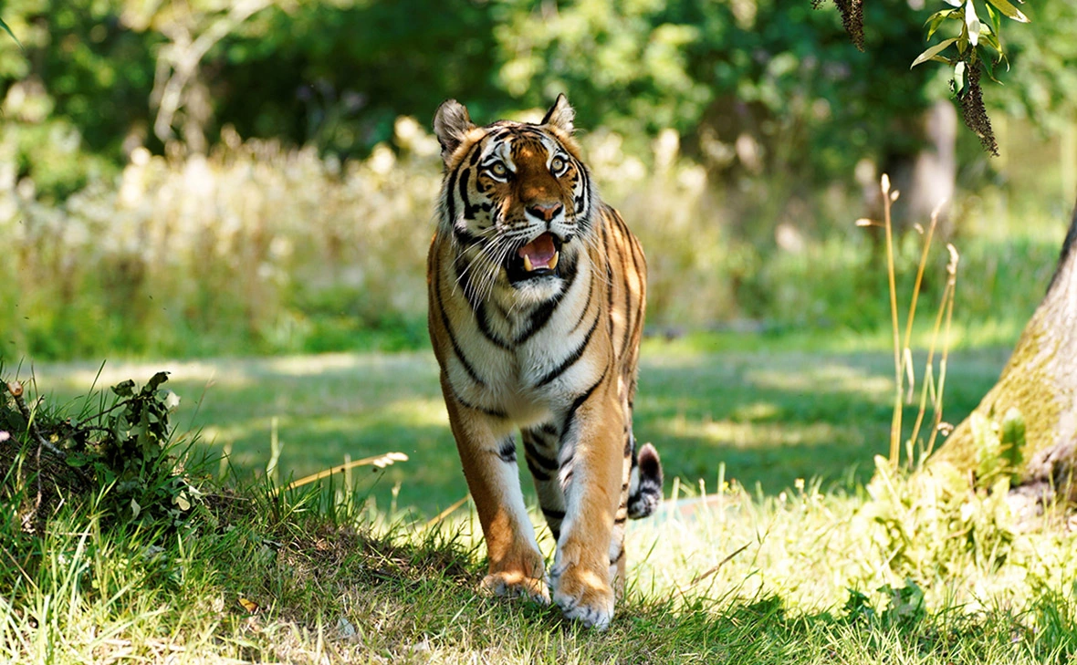 Cover Images / Keystone Press Agency / Global Look Press