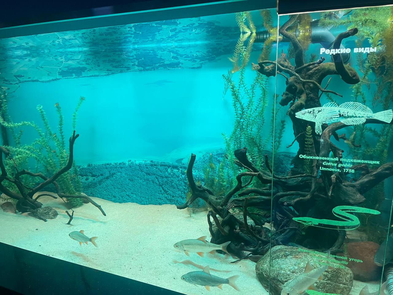 Фото: Марина Маркевич