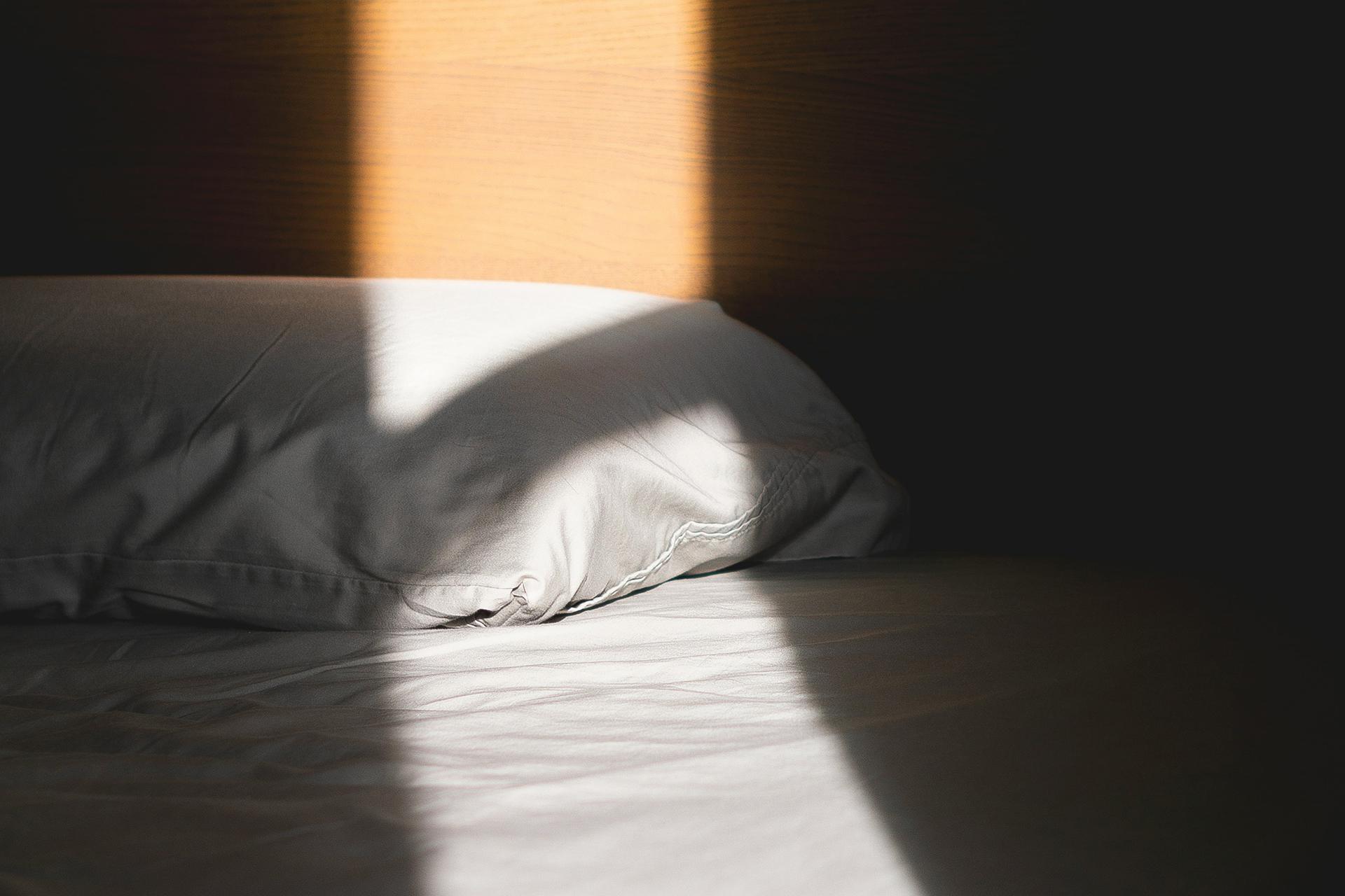 Фото: Jonathan Falcon / unsplash