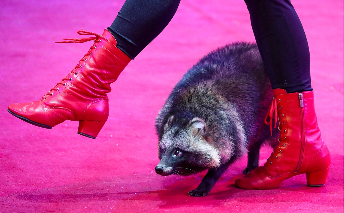 Наталия Федосенко / ТАСС