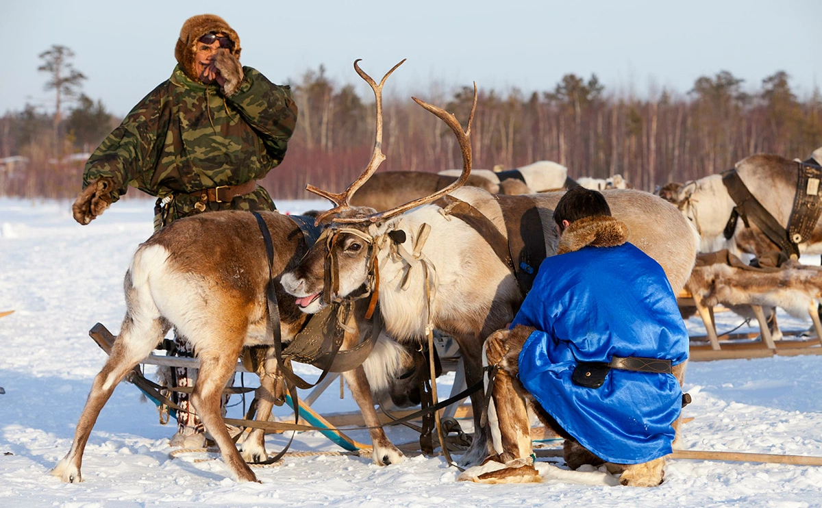 Владимир Мельников / Global Look Press