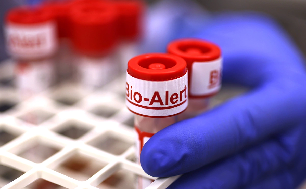 Karen Ducey / Getty Images