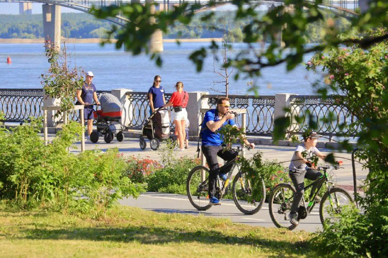 Telegram-канал мэра Новосибирска Максима Кудрявцева