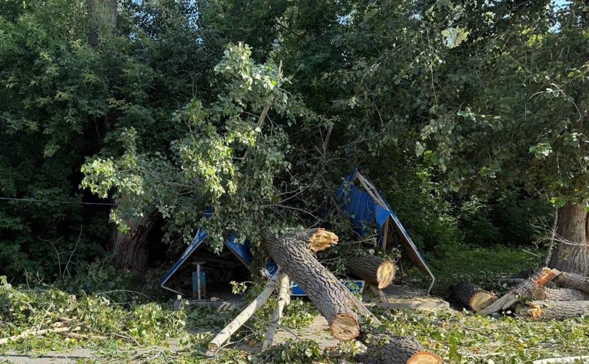Фото: Прокуратура Новосибирской области