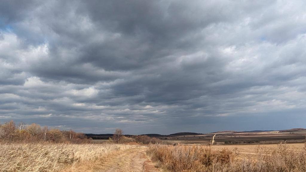 Фото: РБК Приморье