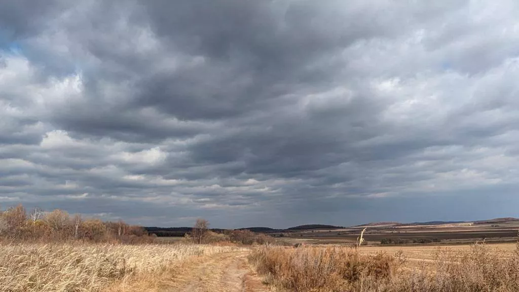 РБК Приморье