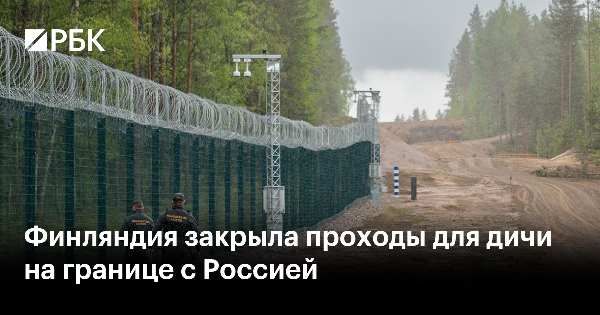Финляндия закрыла проходы для дичи на границе с Россией