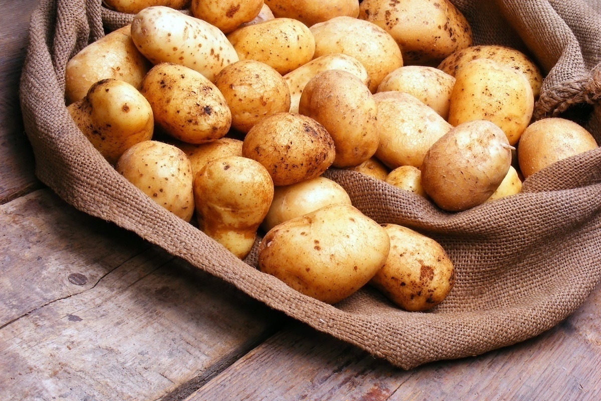 В картофеле из Нижегородской области выявлено превышение нитратов