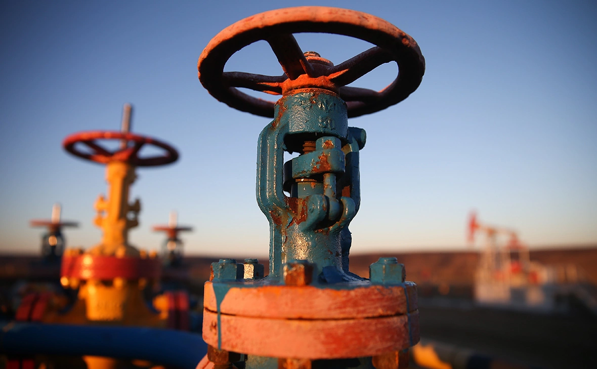 Егор Алеев / ТАСС