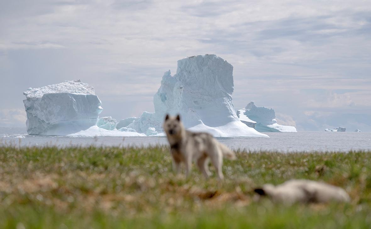 Фото: Ida Marie Odgaard  / Ritzau Scanpix / Reuters