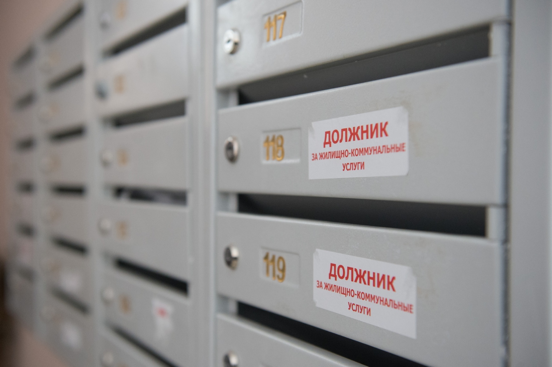 Фото: Белицкий Антон / PhotoXPress.ru