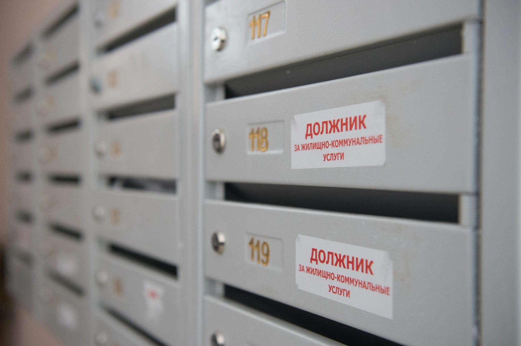 Белицкий Антон / PhotoXPress.ru