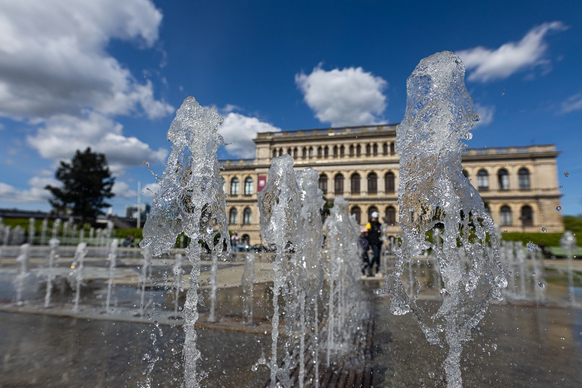 Александр Подгорчук