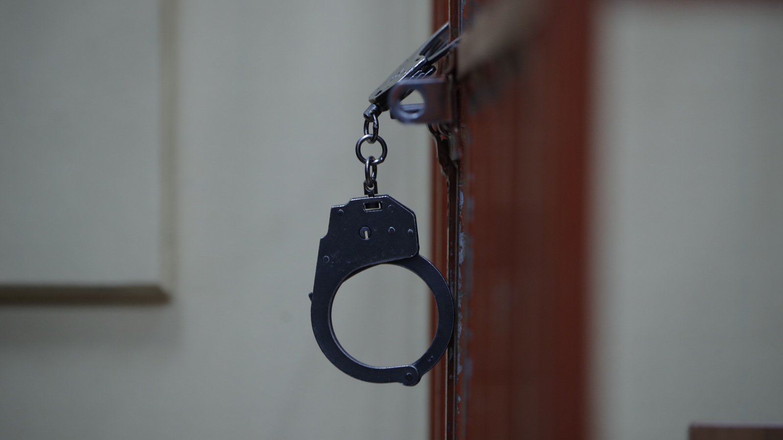 На Камчатке мужчину отправили в колонию строгого режима за смерть щенка