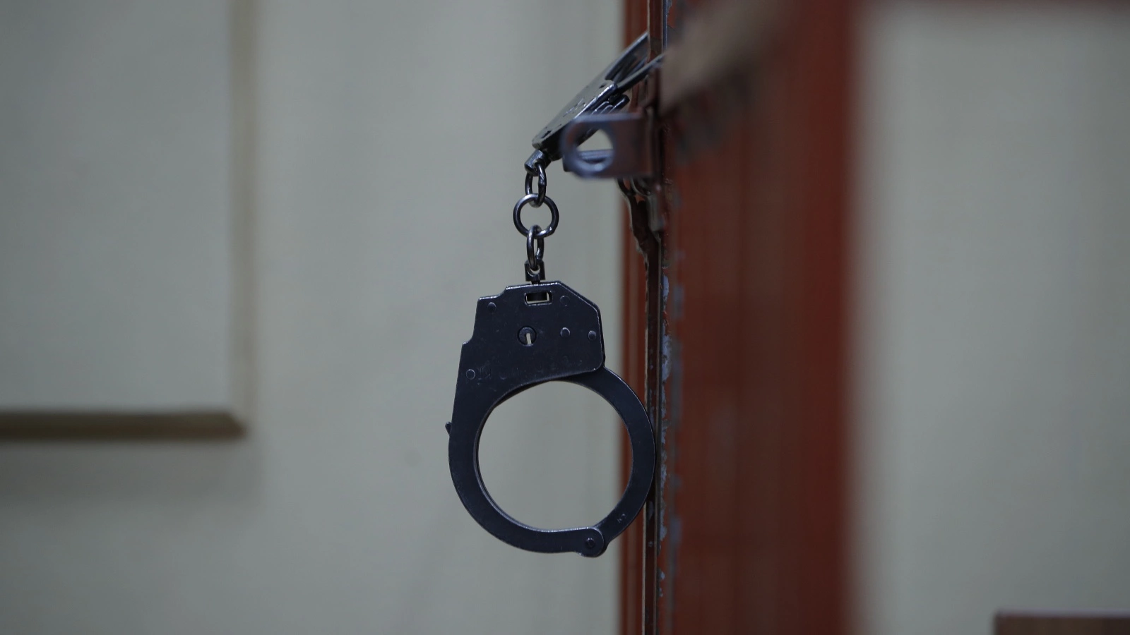 На Камчатке мужчину отправили в колонию строгого режима за смерть щенка