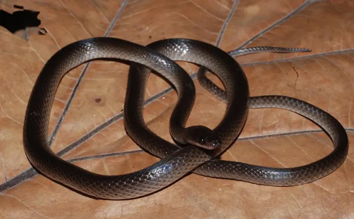 Фото