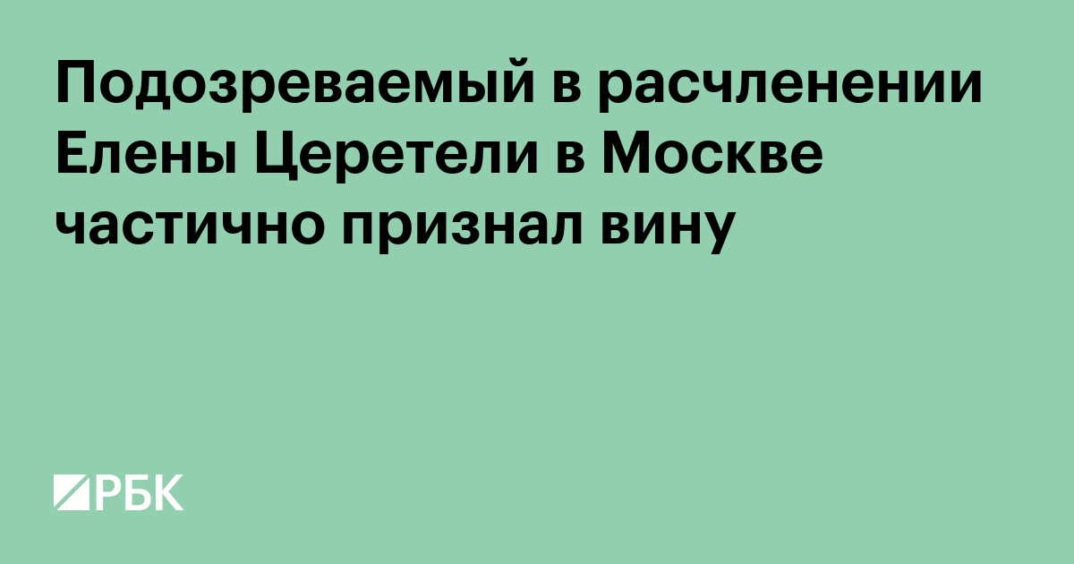 Подозреваемый в расчленении Елены Церетели в Москве частично признал вину
