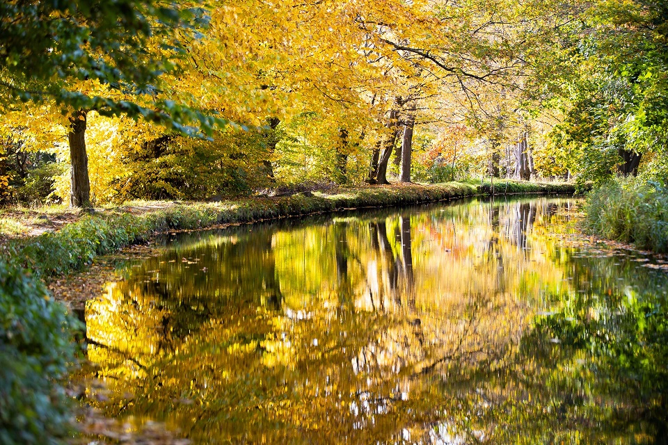 Александр Подгорчук