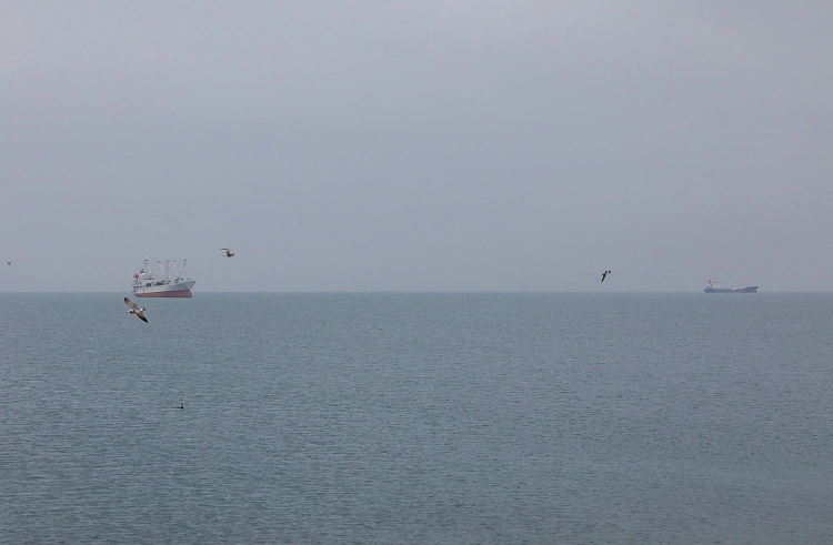 Правительство Приморского края