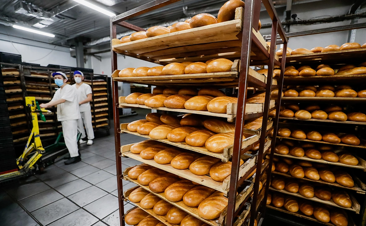 Михаил Метцель / ТАСС