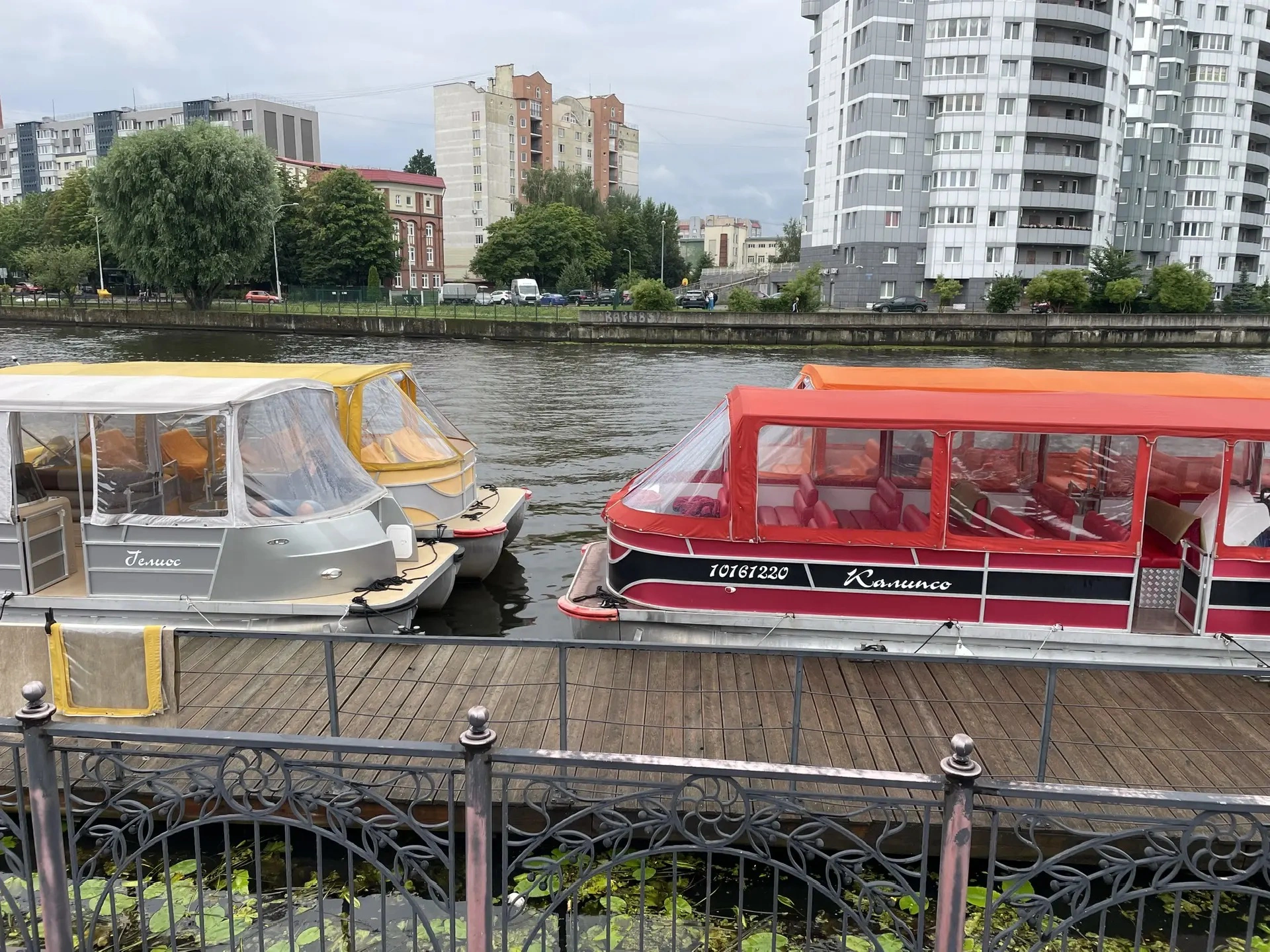 Марина Маркевич