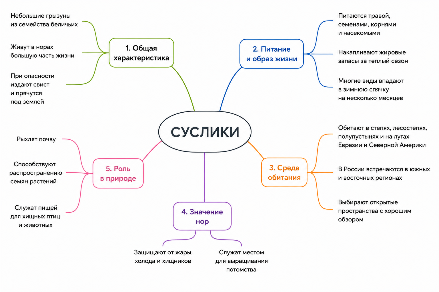 Конспект в виде интеллект-карты
