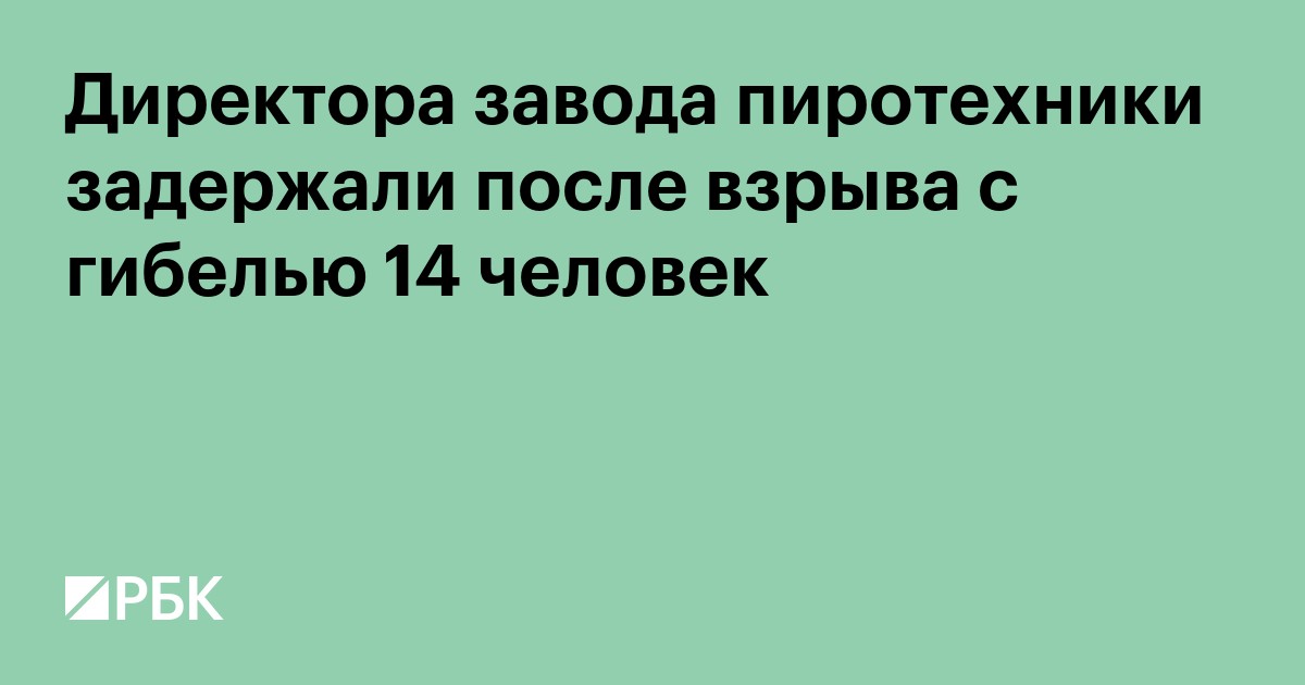Директора завода пиротехники задержали после взрыва с гибелью 14 человек