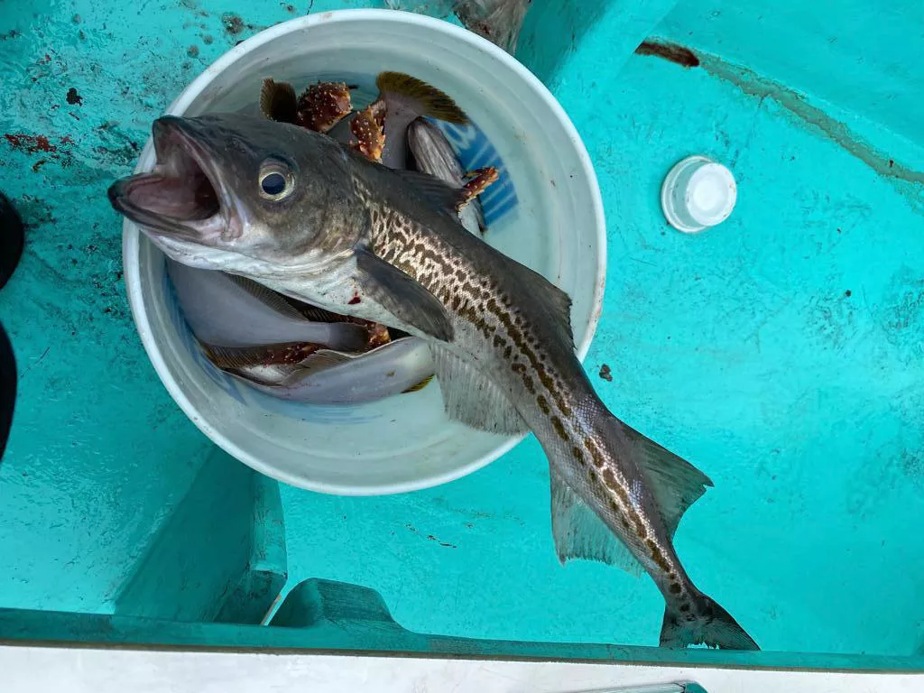 РБК Приморье