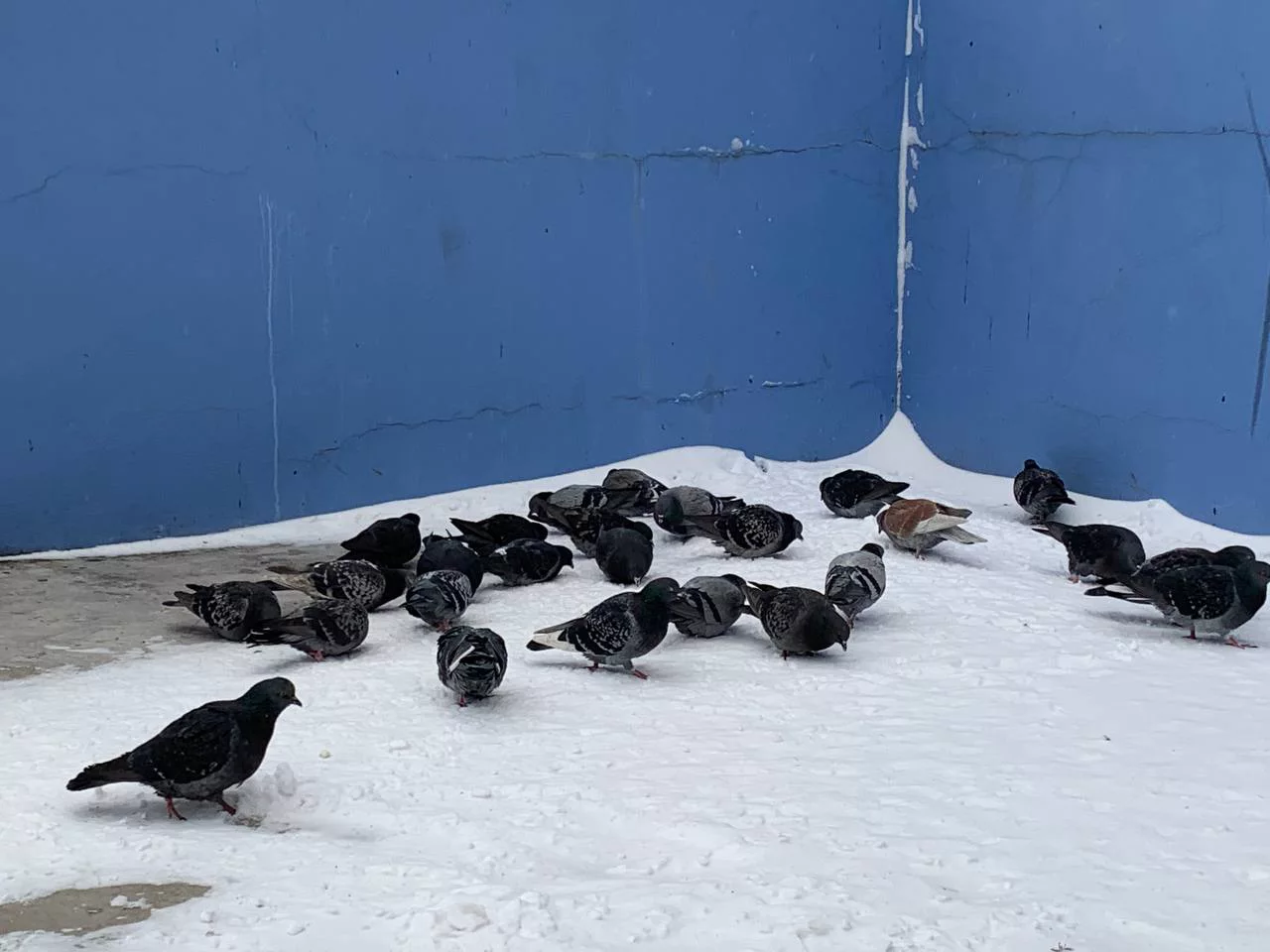 РБК Приморье