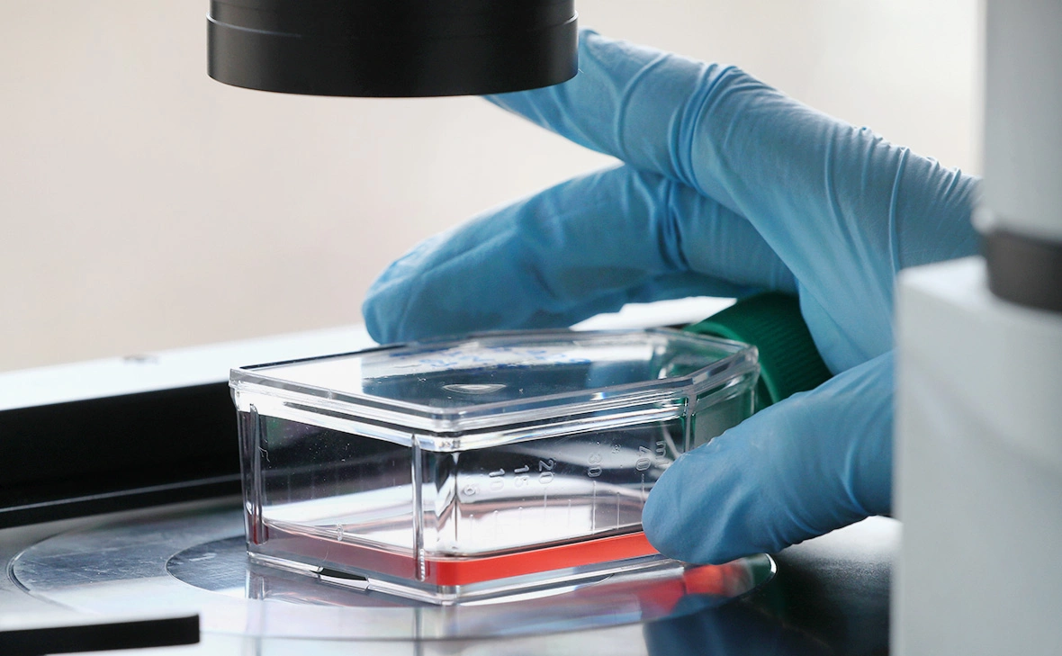 Александр Щербак / ТАСС