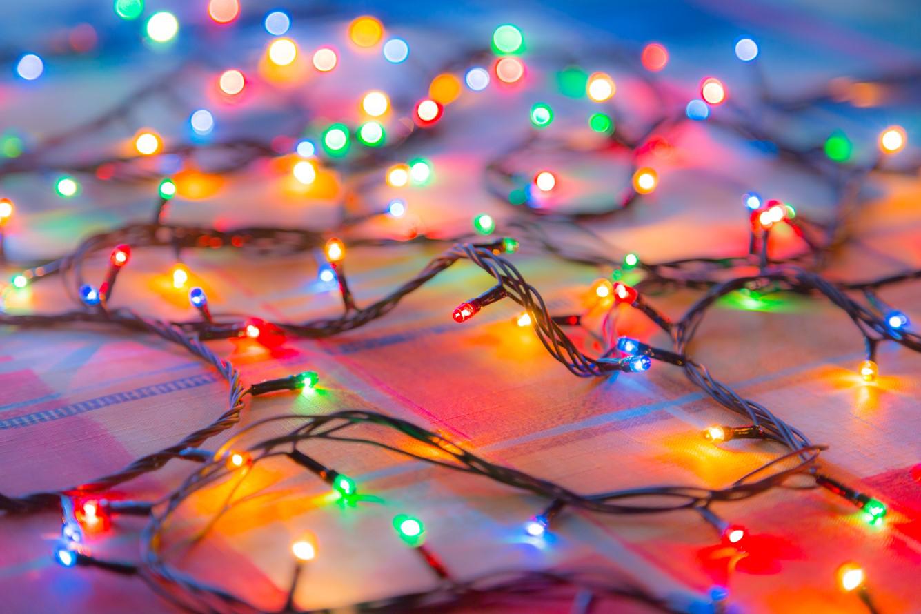 Фото: lapandr / Shutterstock / FOTODOM