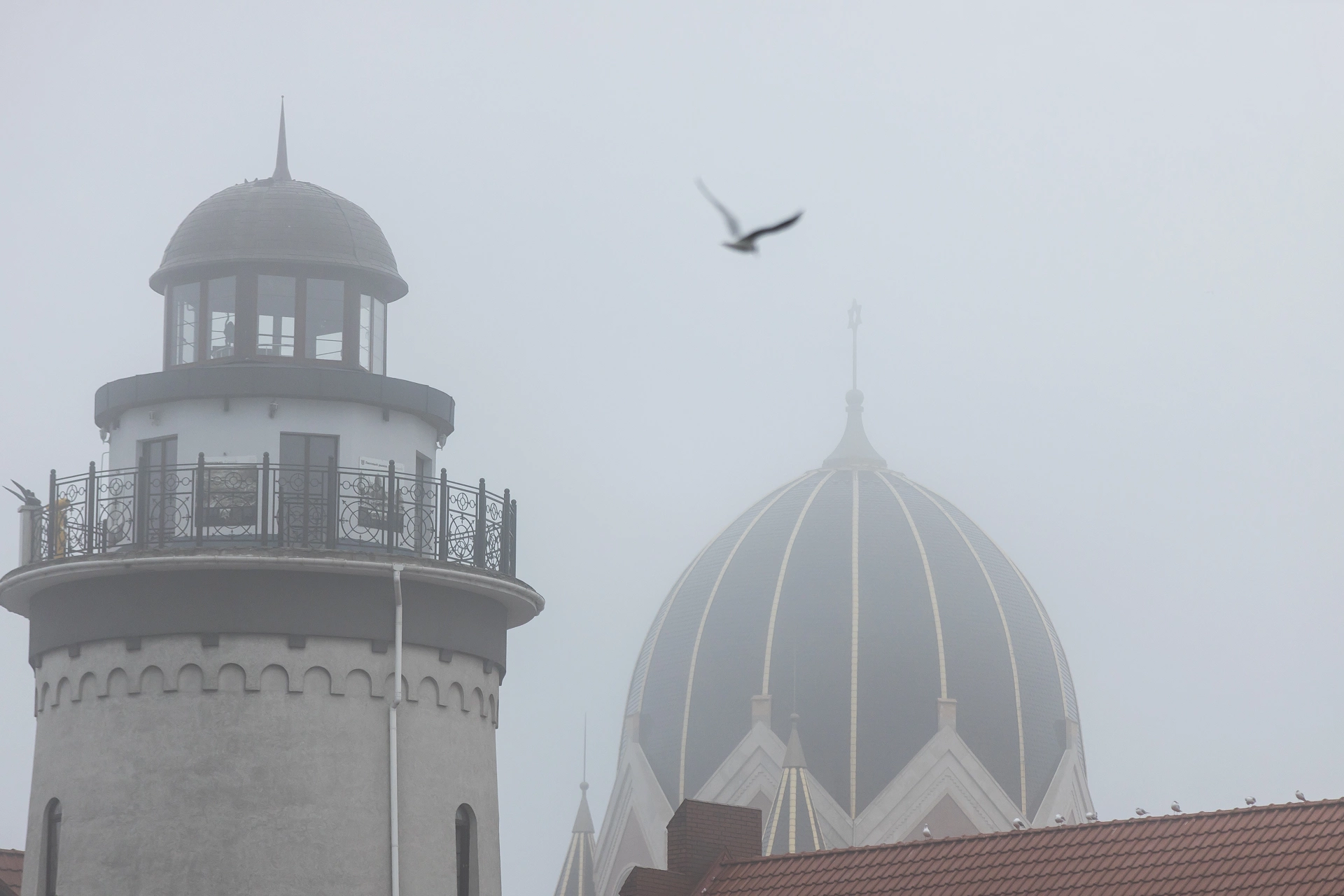 Александр Подгорчук