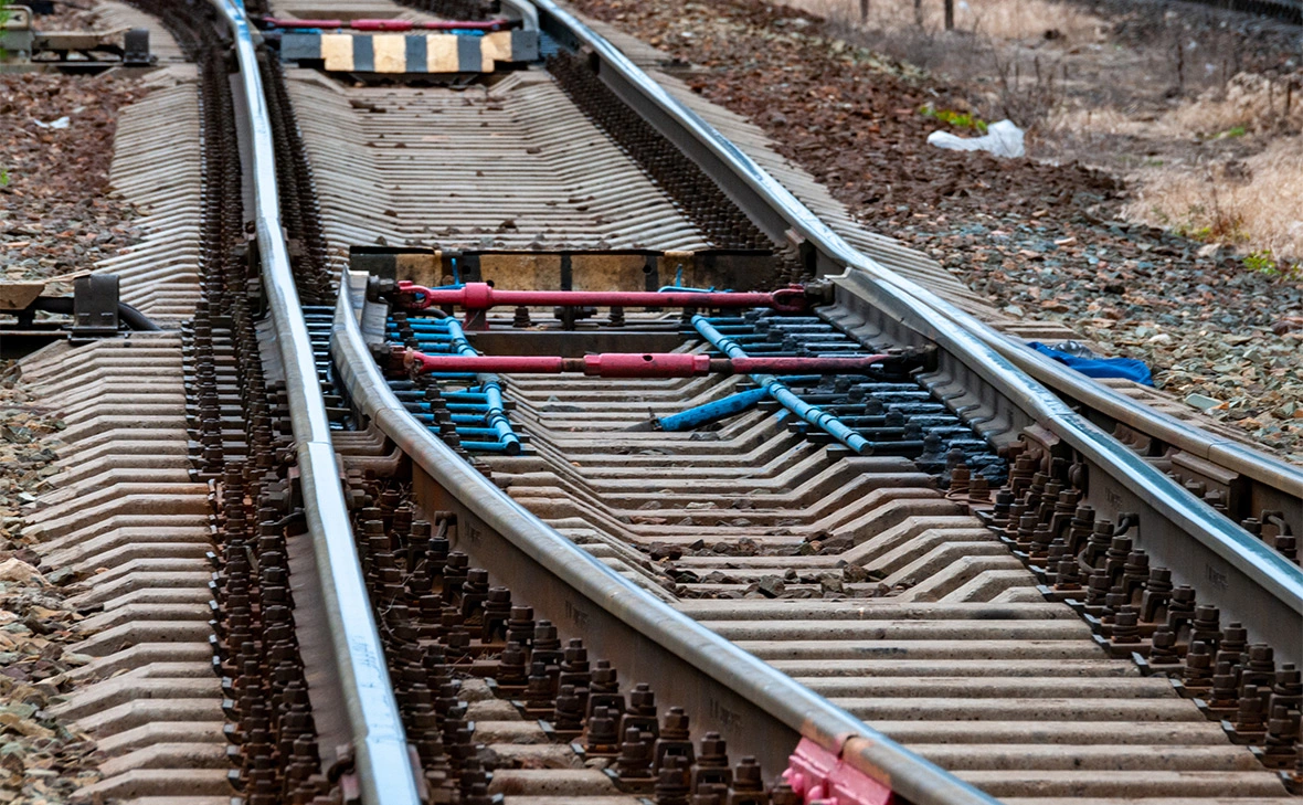 Светлана Возмилова / Global Look Press