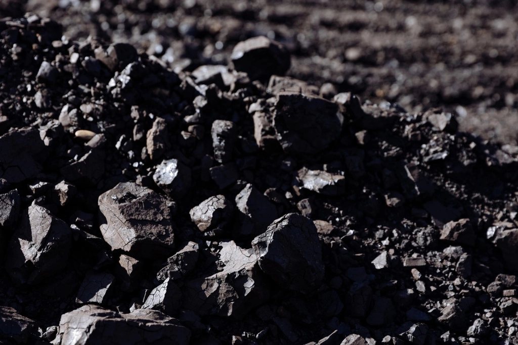 Правительство Амурской области 