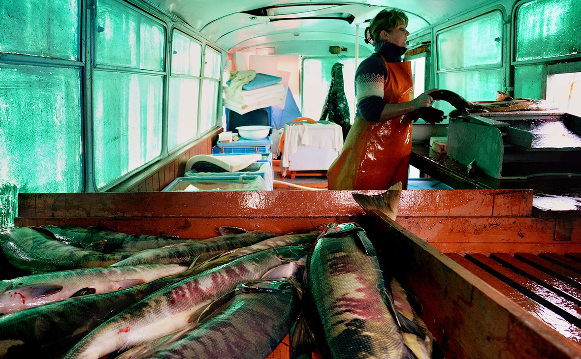 Виталий Аньков / РИА Новости