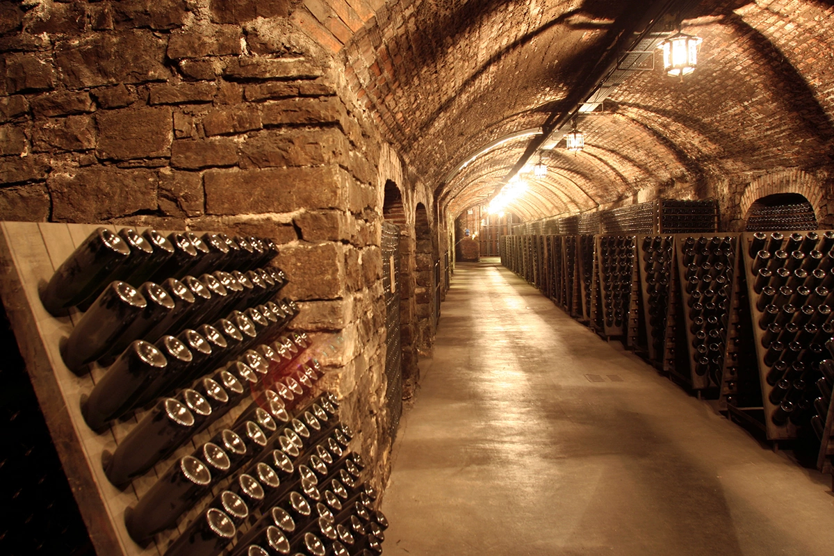 Производство вина в Австрии в 2024 году сократилось на 22%