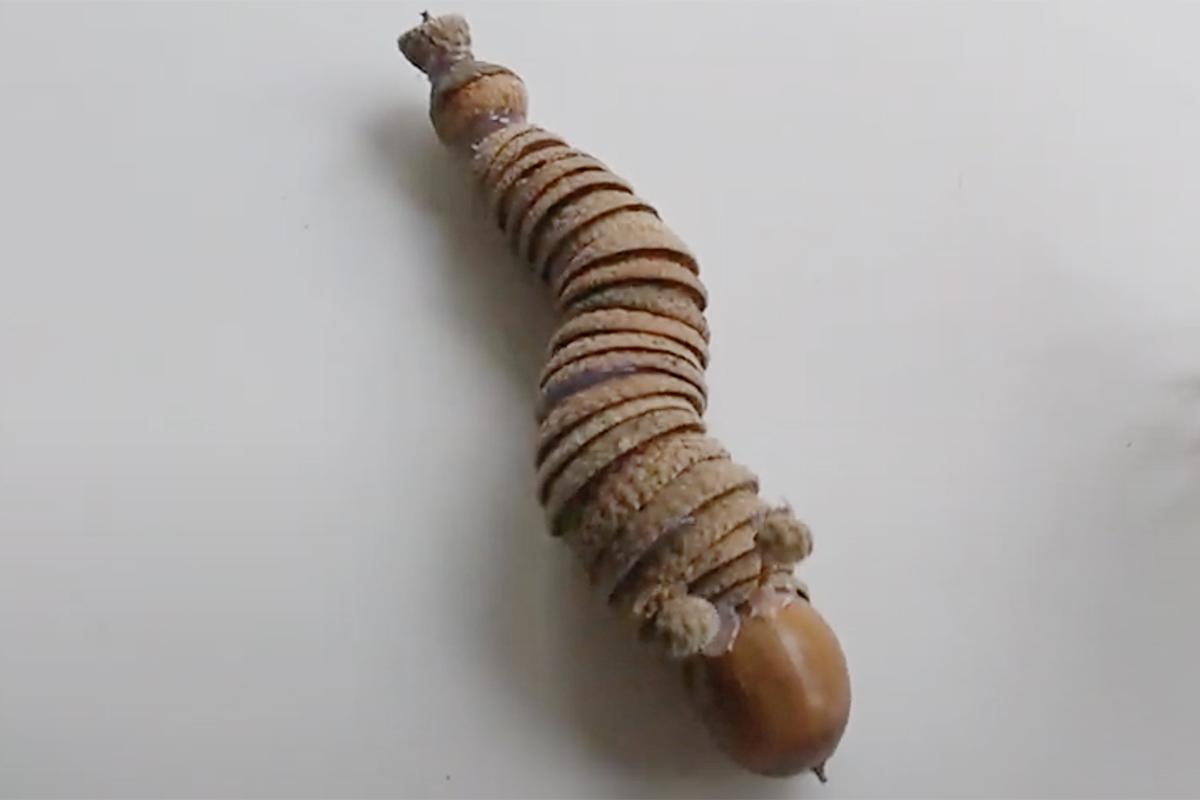 Поделку можно усложнять: раскрашивать детали, добавлять листья, ягоды и сухоцветы