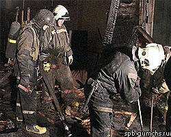 В Мурино из-за пожара в частном доме погибли дети