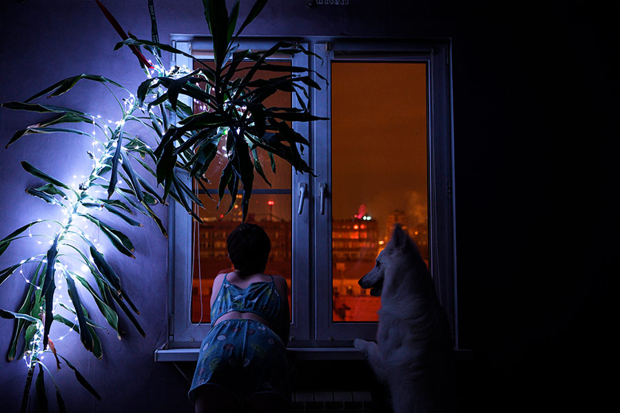 Белая швейцарская овчарка Моро и его хозяйка смотрят в окно на новогодние салюты в Екатеринбурге.
