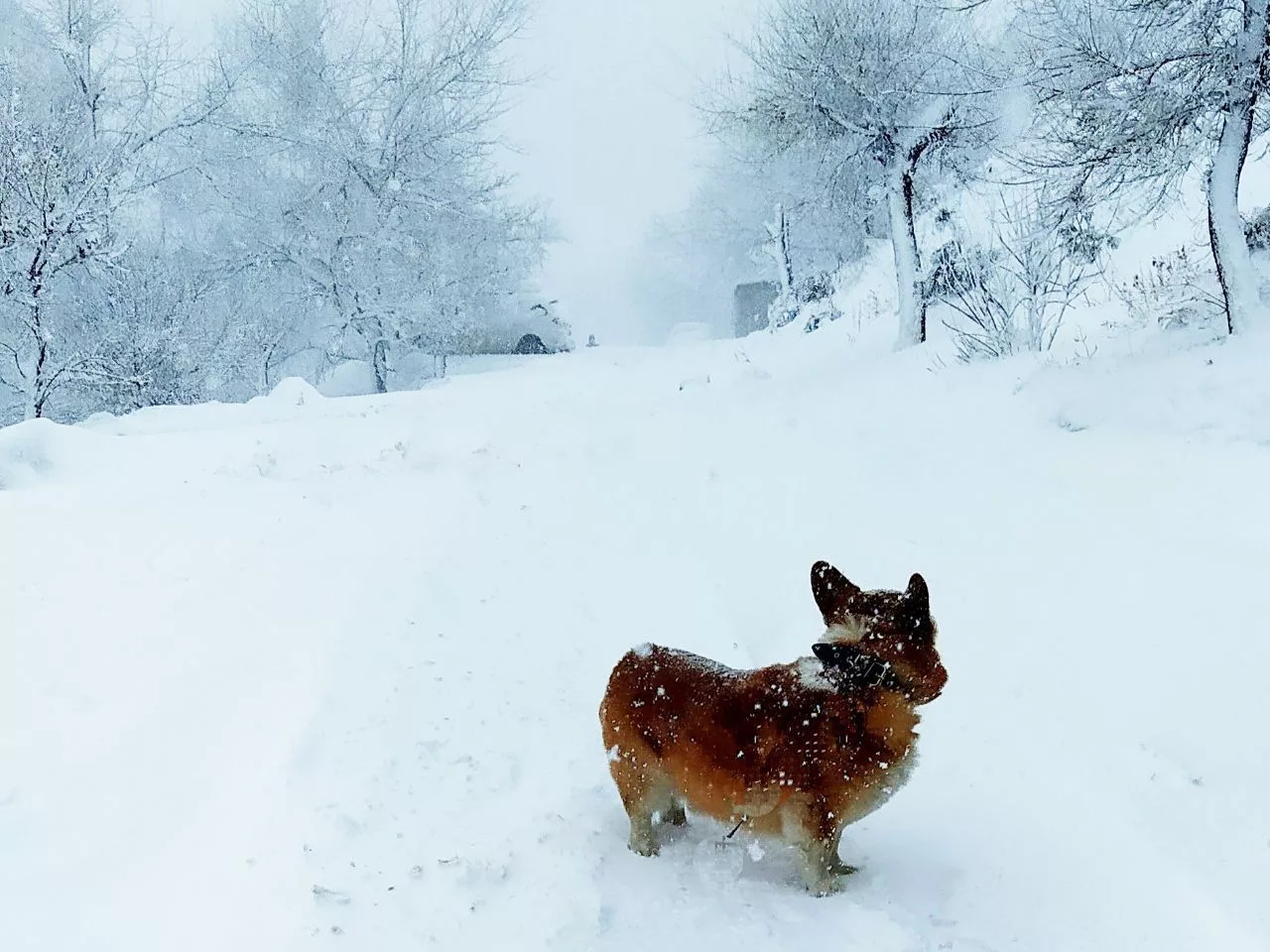 РБК Приморье