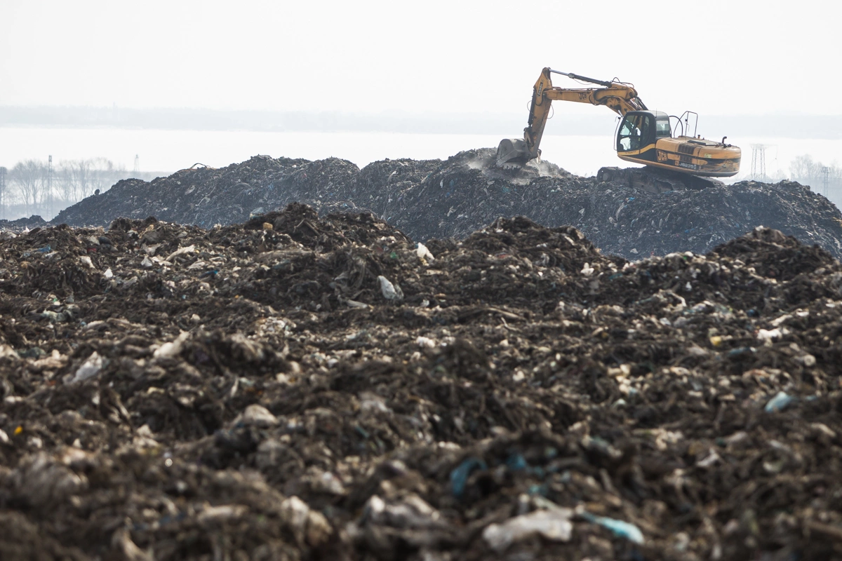 Александр Подгорчук