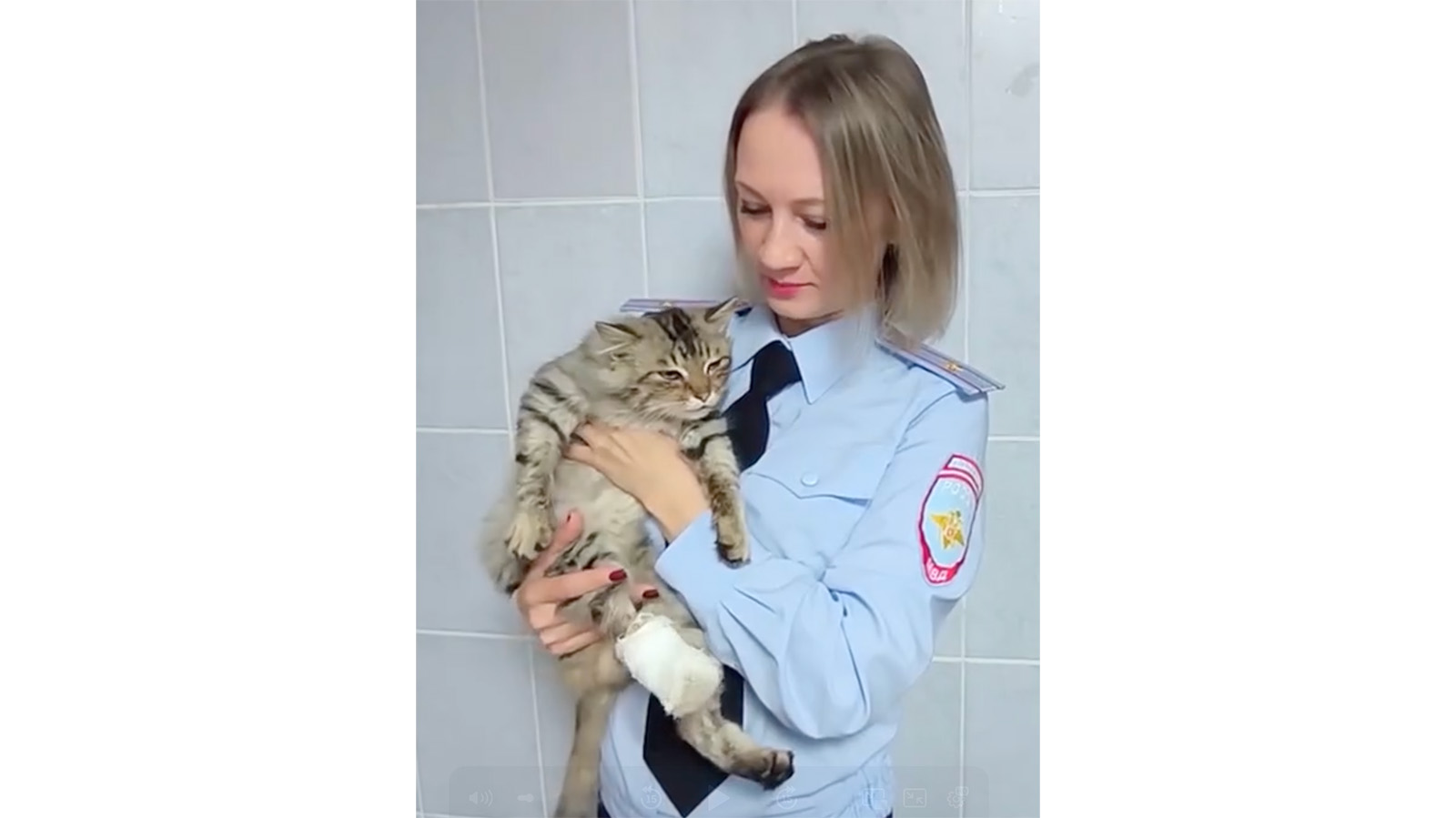 В Красноярском крае полицейские спасли раненого котенка