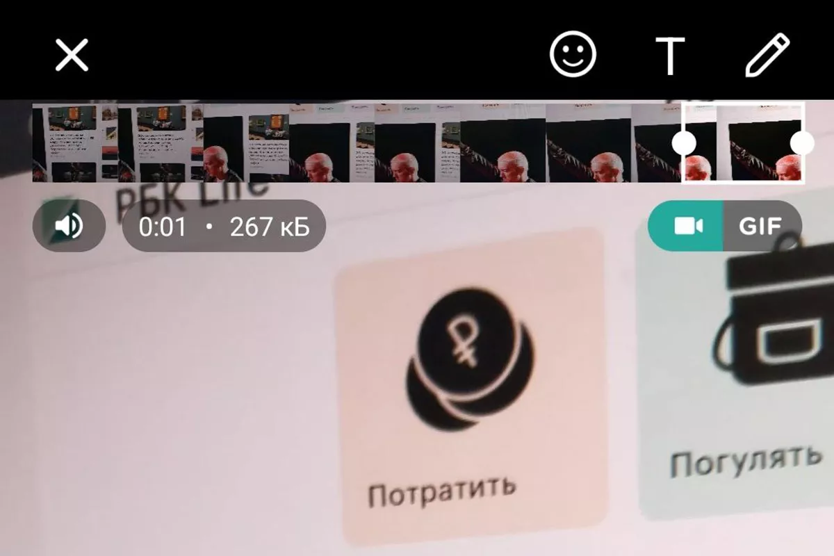 <p>В WhatsApp встроен простой видеоредактор &mdash; можно обрезать ролики и добавлять надписи</p>