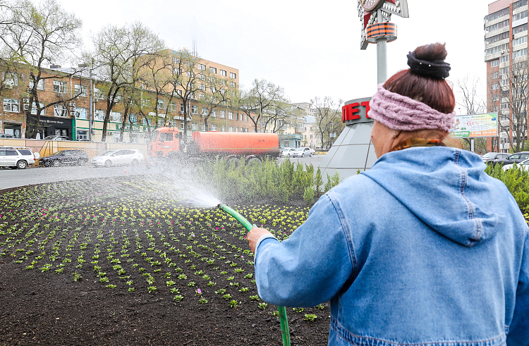 Правительство Приморского края