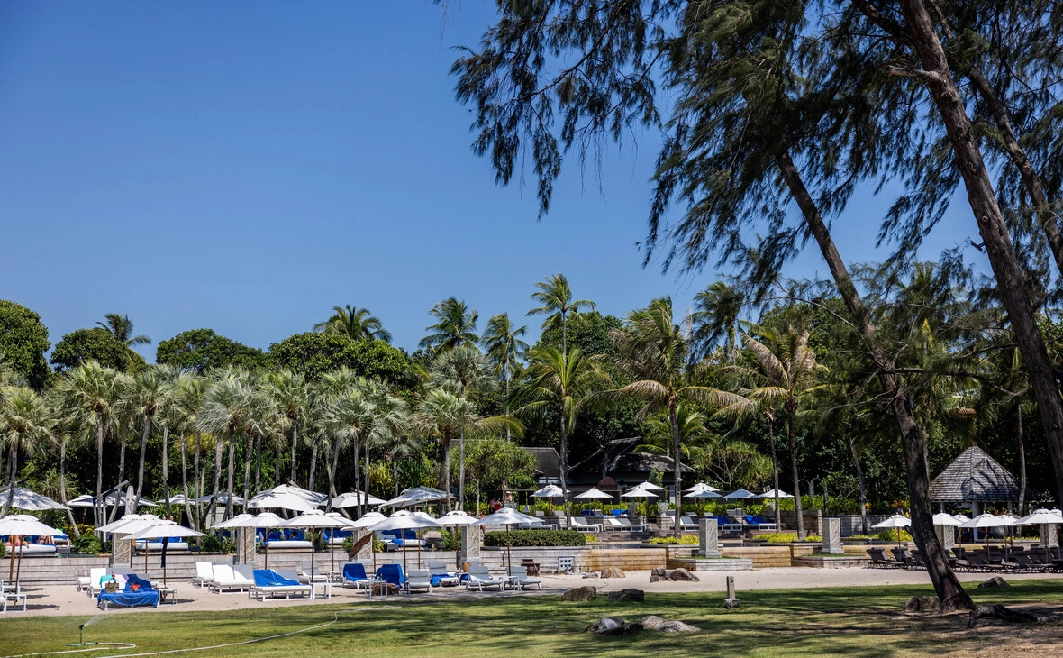 Lauren DeCicca / Getty Images