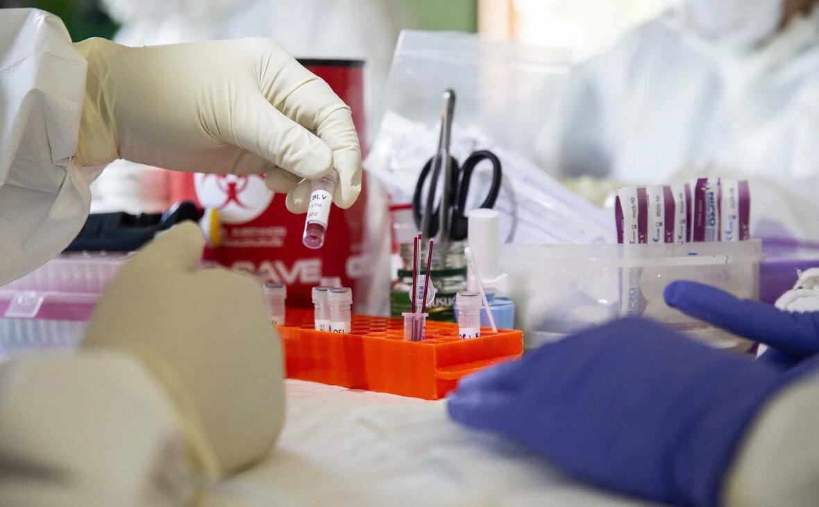 Lauren DeCicca / Getty Images